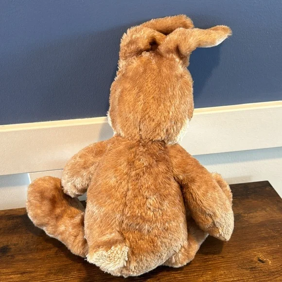 Build A Bear Peter Rabbit Easter stuffed plush. 20”. Retired. Preowned. - Picture 8 of 8